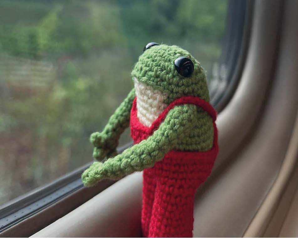 🐸 Milo the Frog