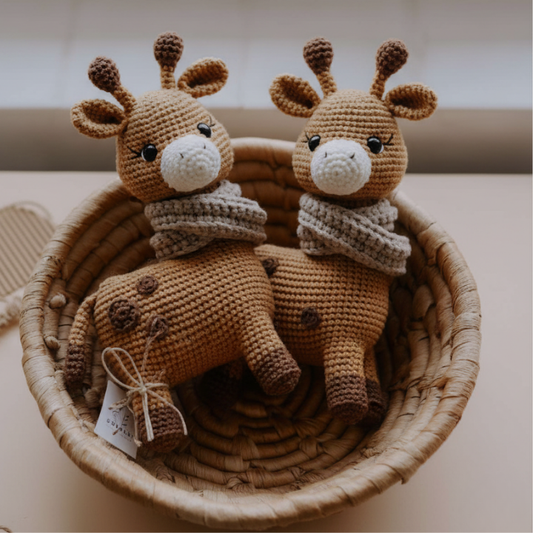 🦒 Nala the Giraffe