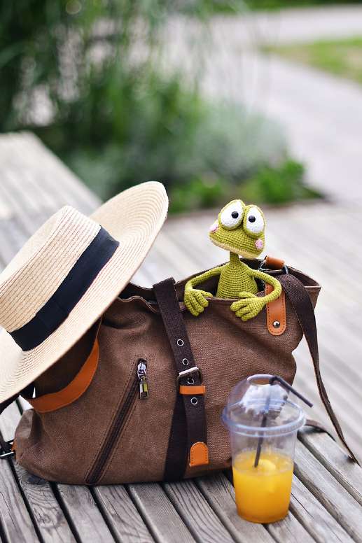 🐸 Sunny the Beach Frog