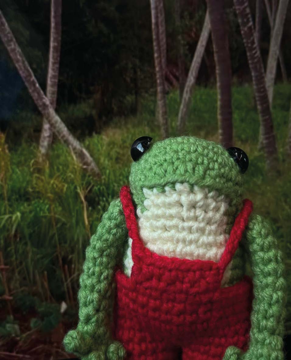 🐸 Milo the Frog