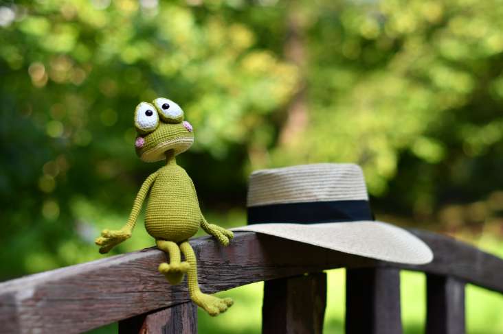 🐸 Sunny the Beach Frog