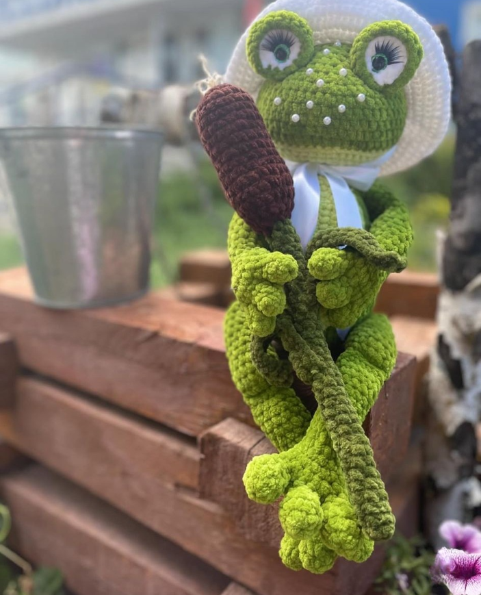 🐸 Lily the Frog