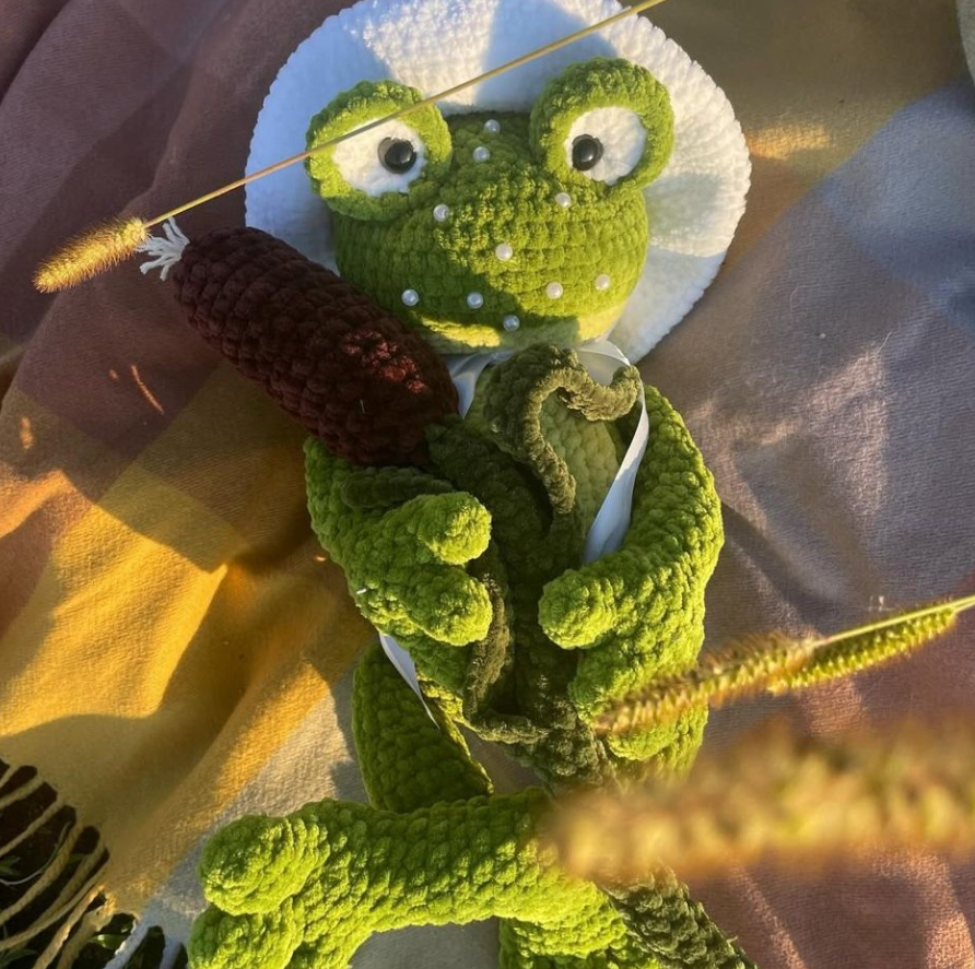 🐸 Lily the Frog