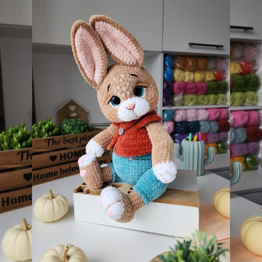 🐰 Oliver the Bunny