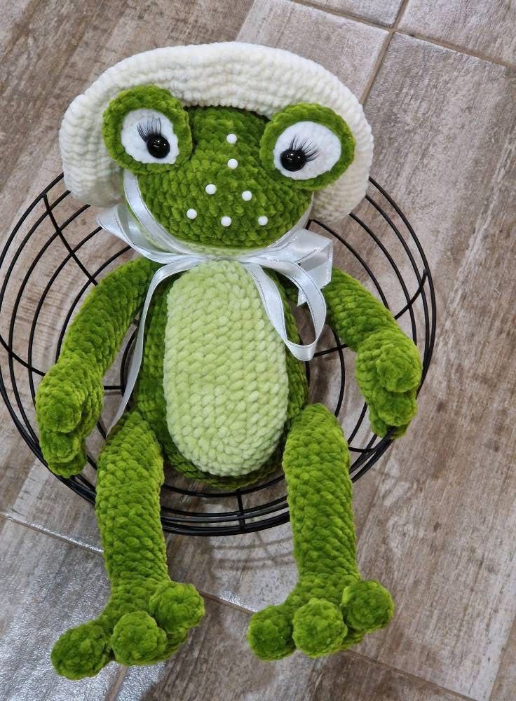 🐸 Lily the Frog