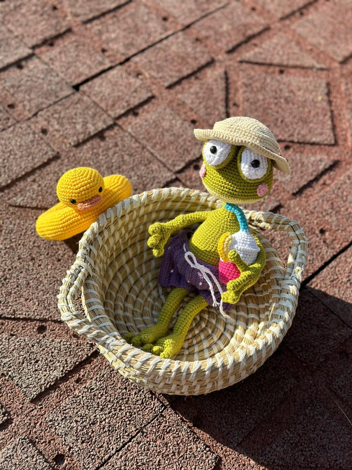 🐸 Sunny the Beach Frog